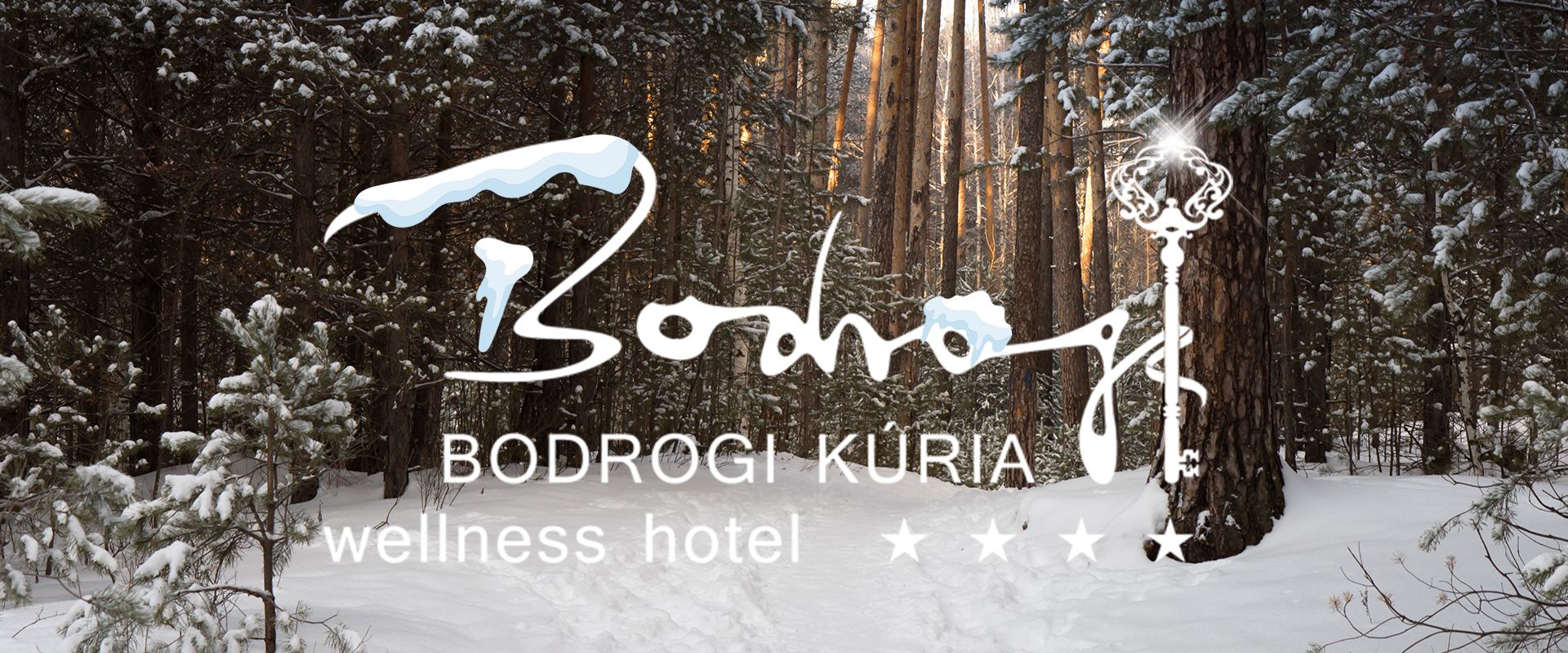 BODROGI_TELI2_1920x800